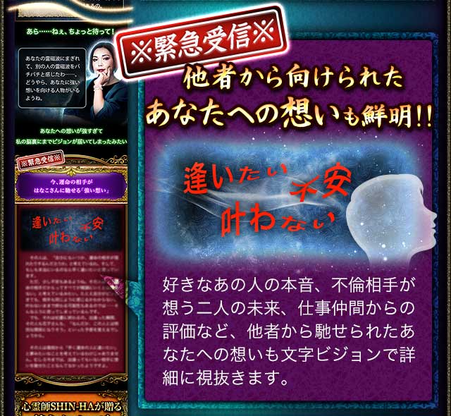 身の毛よだつ狂的中！ 生々しいほど現実暴く霊感力◇心霊師SHIN
